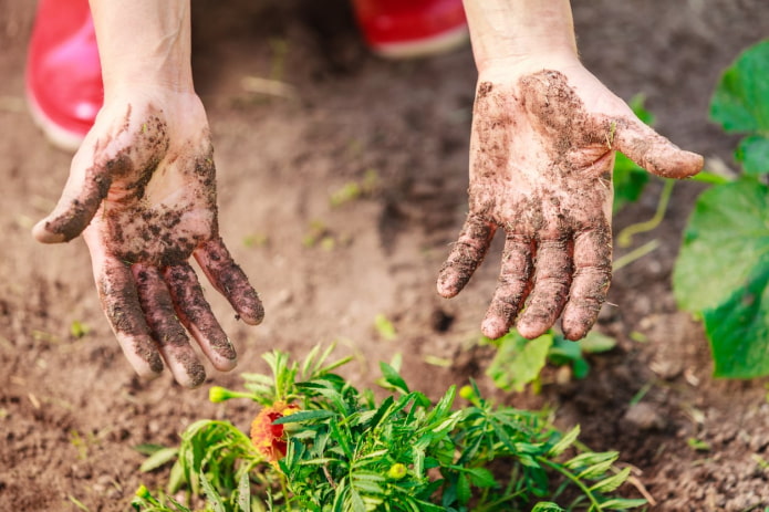 Как очистить руки от грязи после огорода?